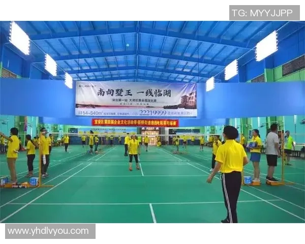 深圳羽毛球队在洲际杯中的比赛经验与表现分析 深圳羽毛球队在洲际杯中的比赛经验与表现分析