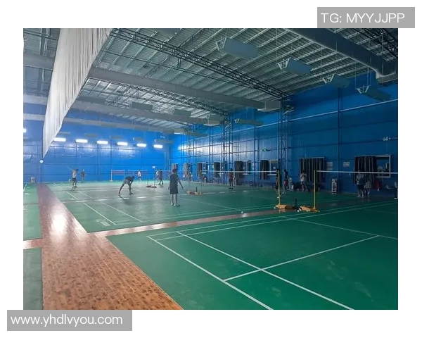 广州羽毛球队近期状态分析与表现评估探讨